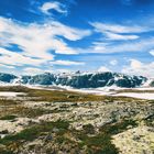 Hardangervidda 2