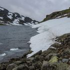 Hardangervidda 2015 (03)