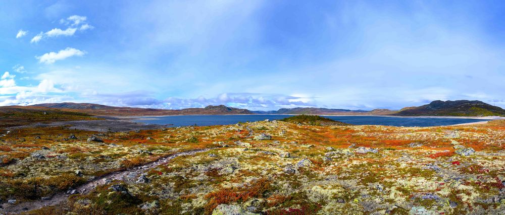 Hardangervidda