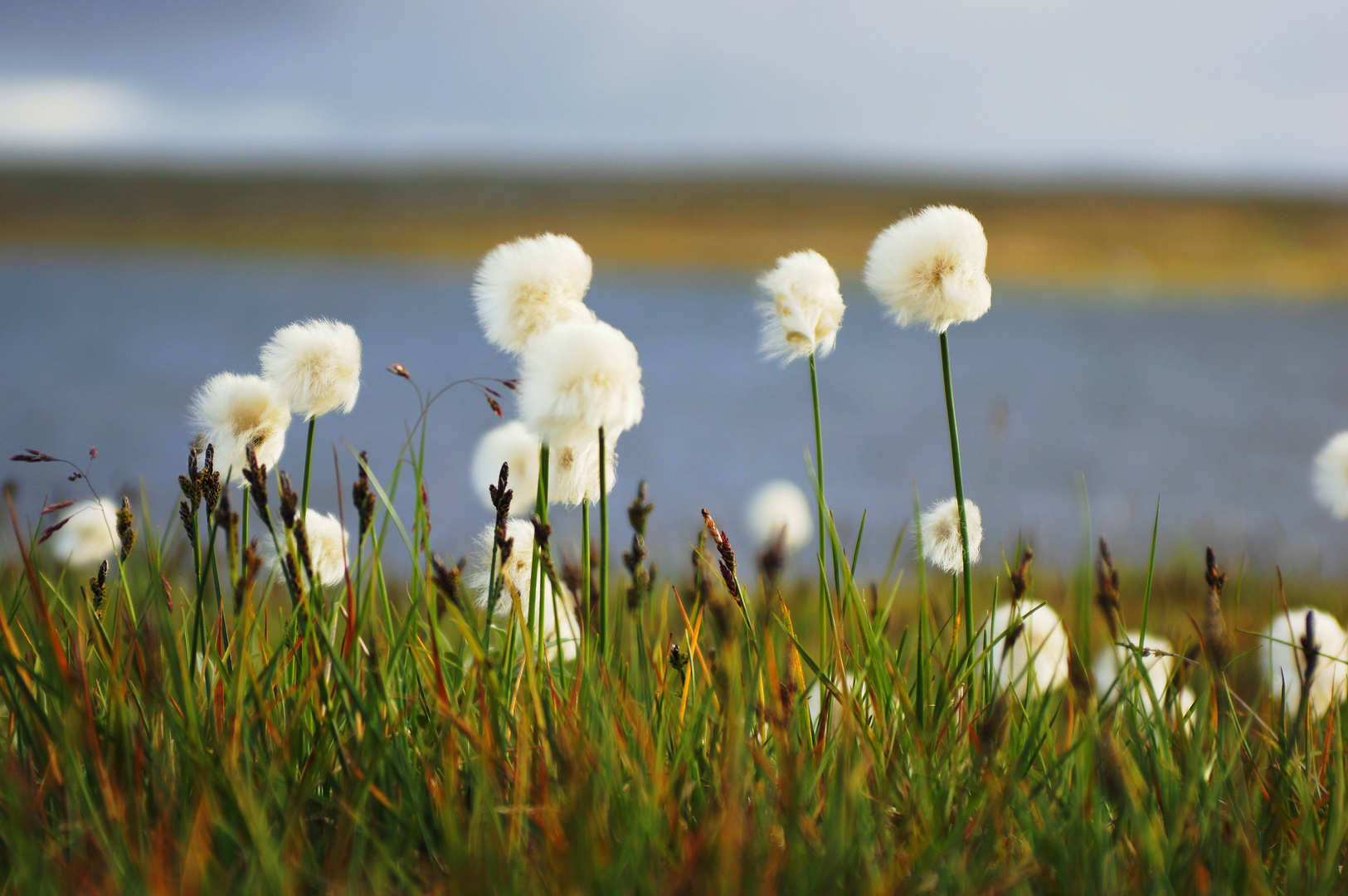 Hardangervidda 3