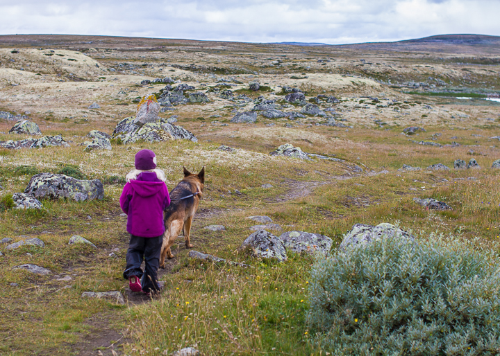 Hardangervidda