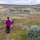 Hardangervidda