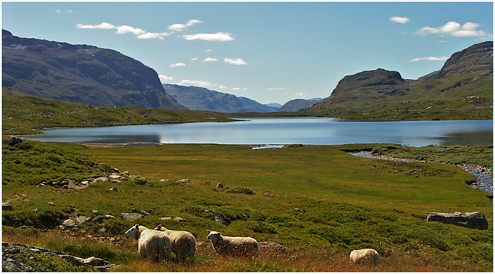 Hardangervidda