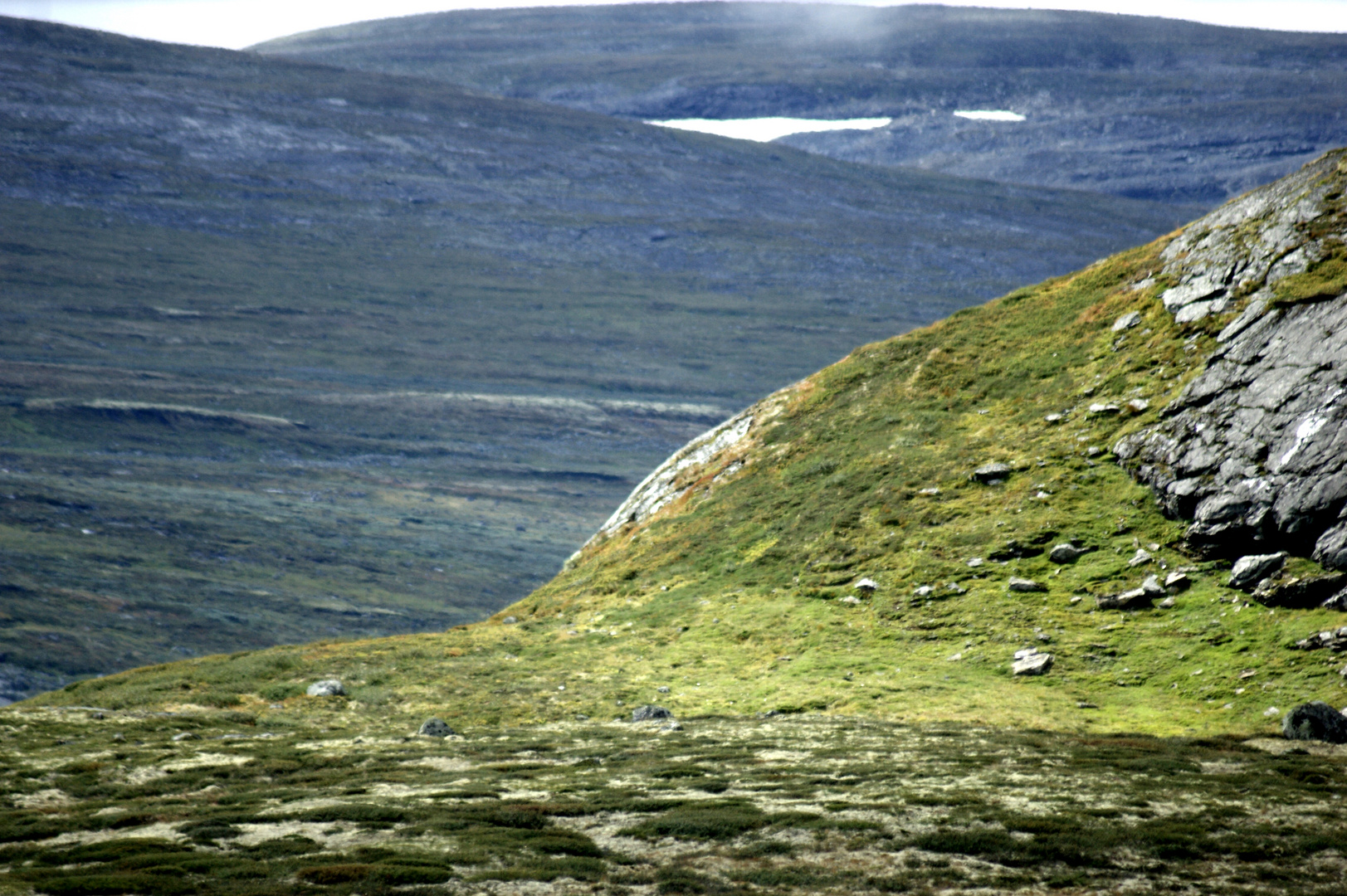 hardangervidda