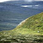 hardangervidda