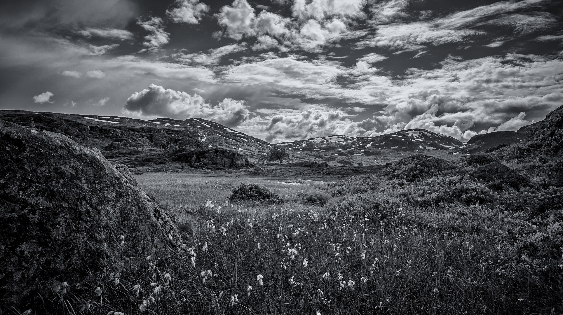 Hardangervidda