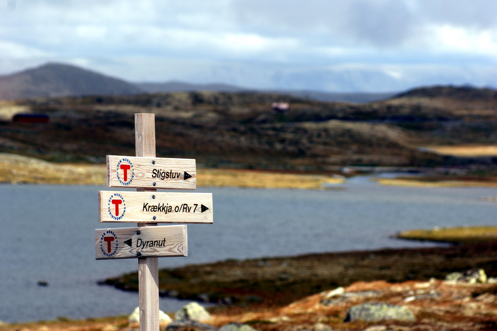 hardangervidda