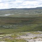 Hardangervidda