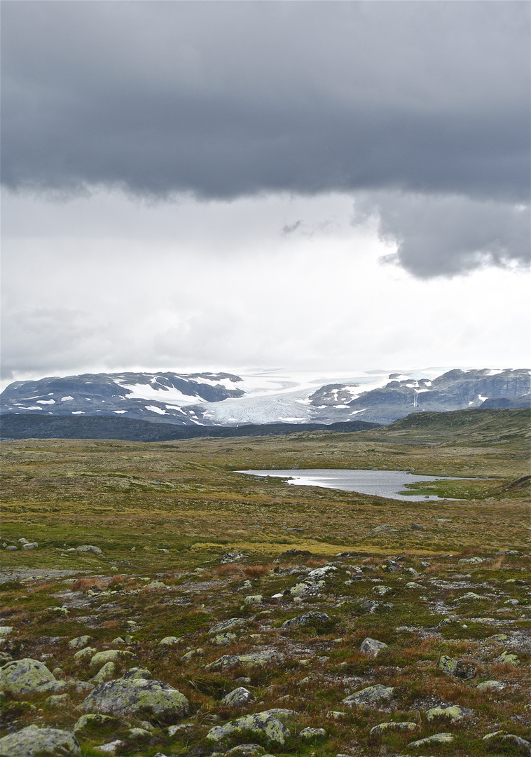 Hardangervidda Glacier