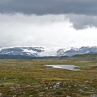 Hardangervidda Glacier