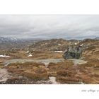 Hardangervidda III