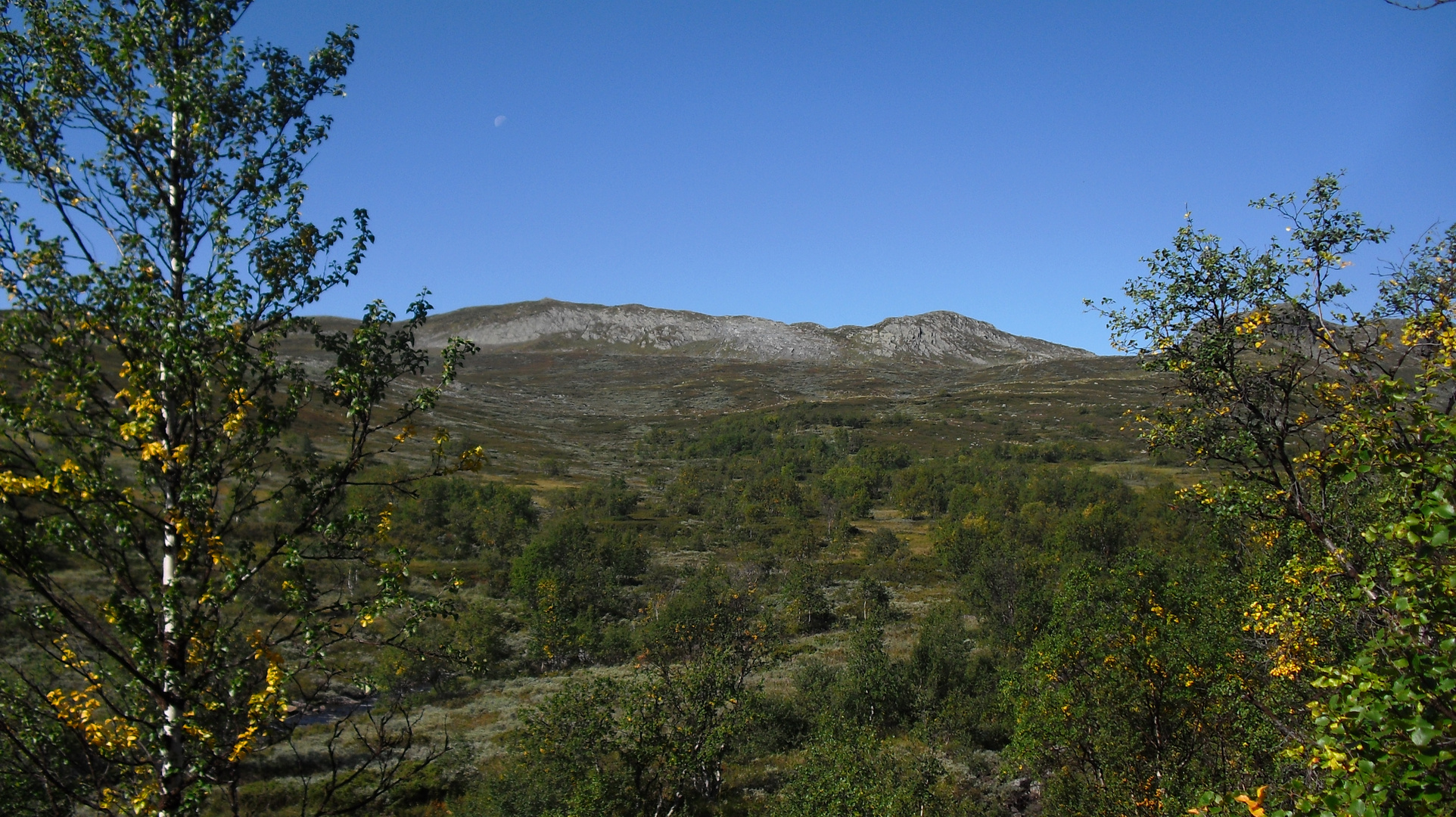 hardangervidda late summer