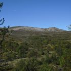 hardangervidda late summer