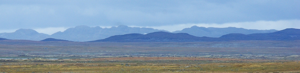 Hardangervidda (N)