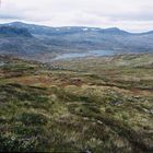 Hardangervidda, Norwegen