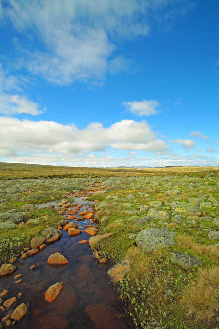 Hardangervidda, Norwegen