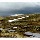 Hardangervidda Plateau 3 | Norway