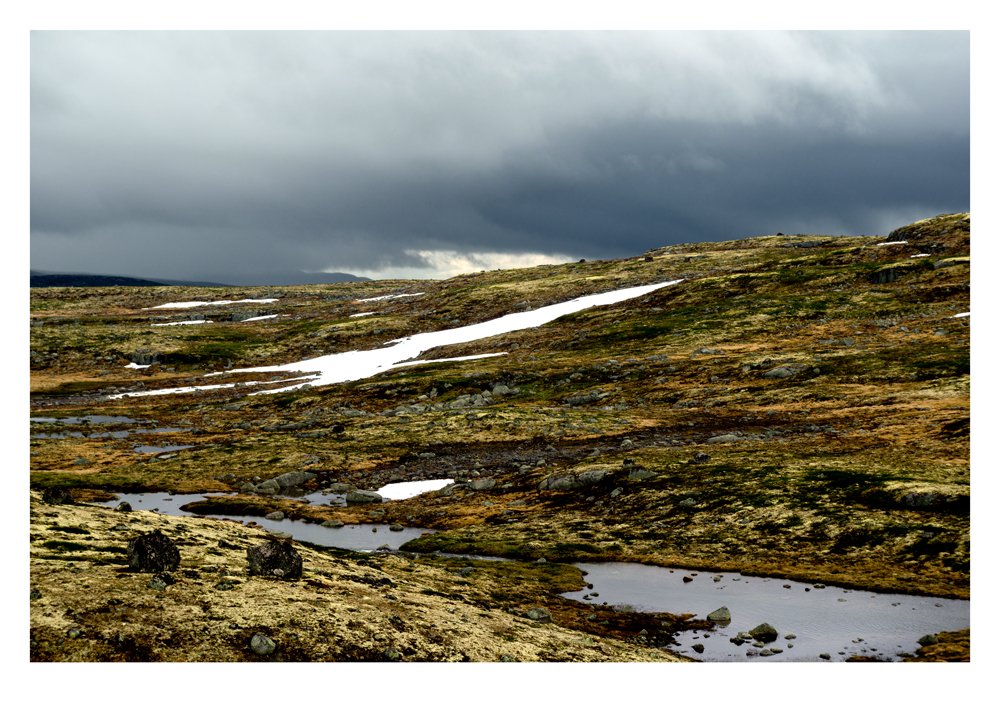 Hardangervidda Plateau 3 | Norway