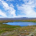 Hardangervidda zum Blue Monday