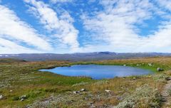 Hardangervidda zum Blue Monday