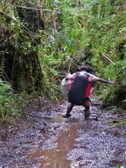 Hardcore Trekking im Korowai Wald