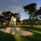 Harding Park Golf Course