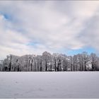 Hardinger Winterbilder: Blick über den? "Mellöh" zu unserer alten Hofzufahrt