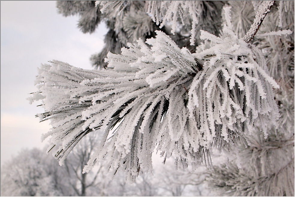 Hardinger Winterbilder: Große Weihnachtsvorstellung 2