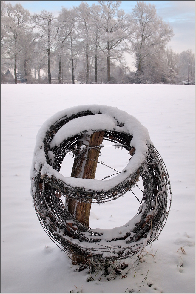 Hardinger Winterbilder: Winterruhe auf dem Feld