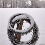 Hardinger Winterbilder: Winterruhe auf dem Feld