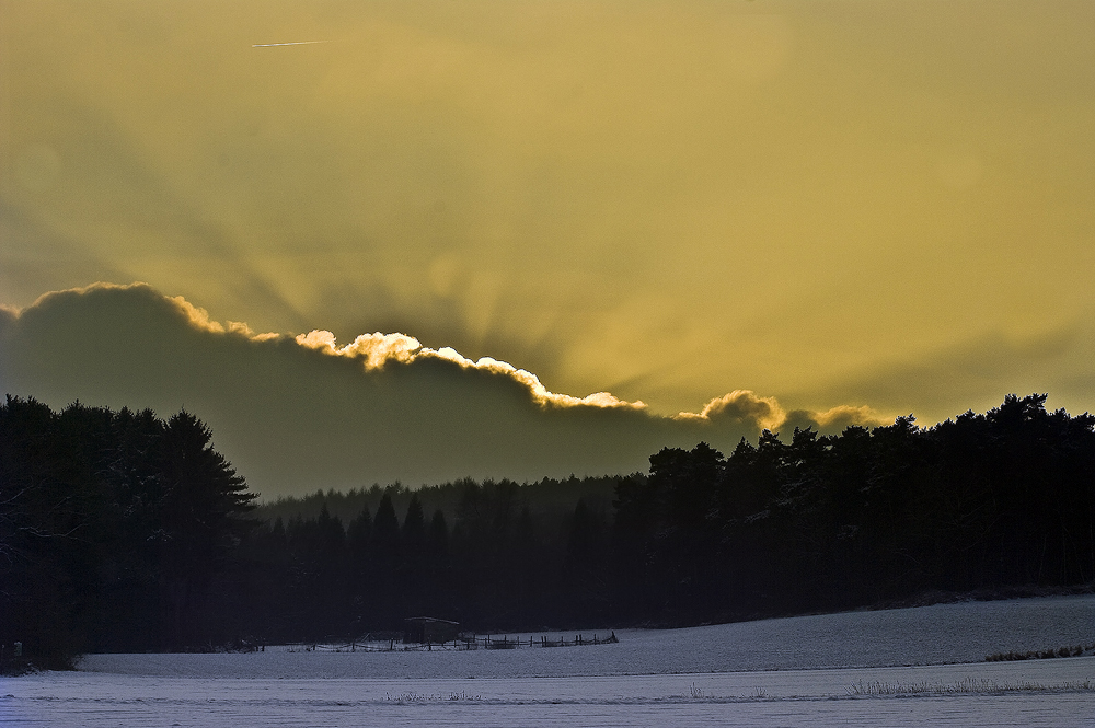 Hardt im winter