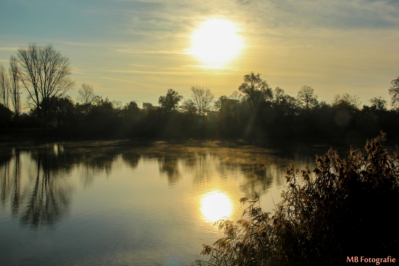 Hardtsee Ubstadt-Weiher