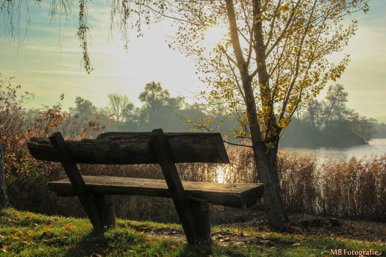 Hardtsee Ubstadt-Weiher Herbst 2014