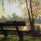 Hardtsee Ubstadt-Weiher Herbst 2014