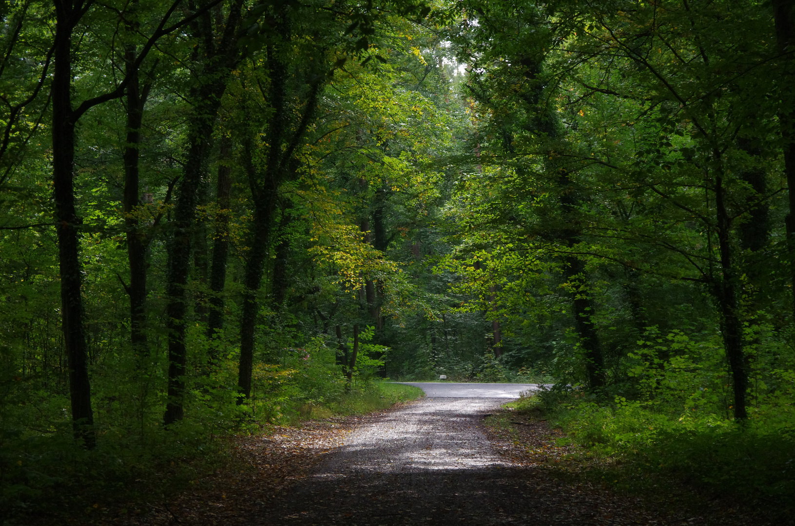 Hardwald Karlsruhe