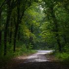 Hardwald Karlsruhe