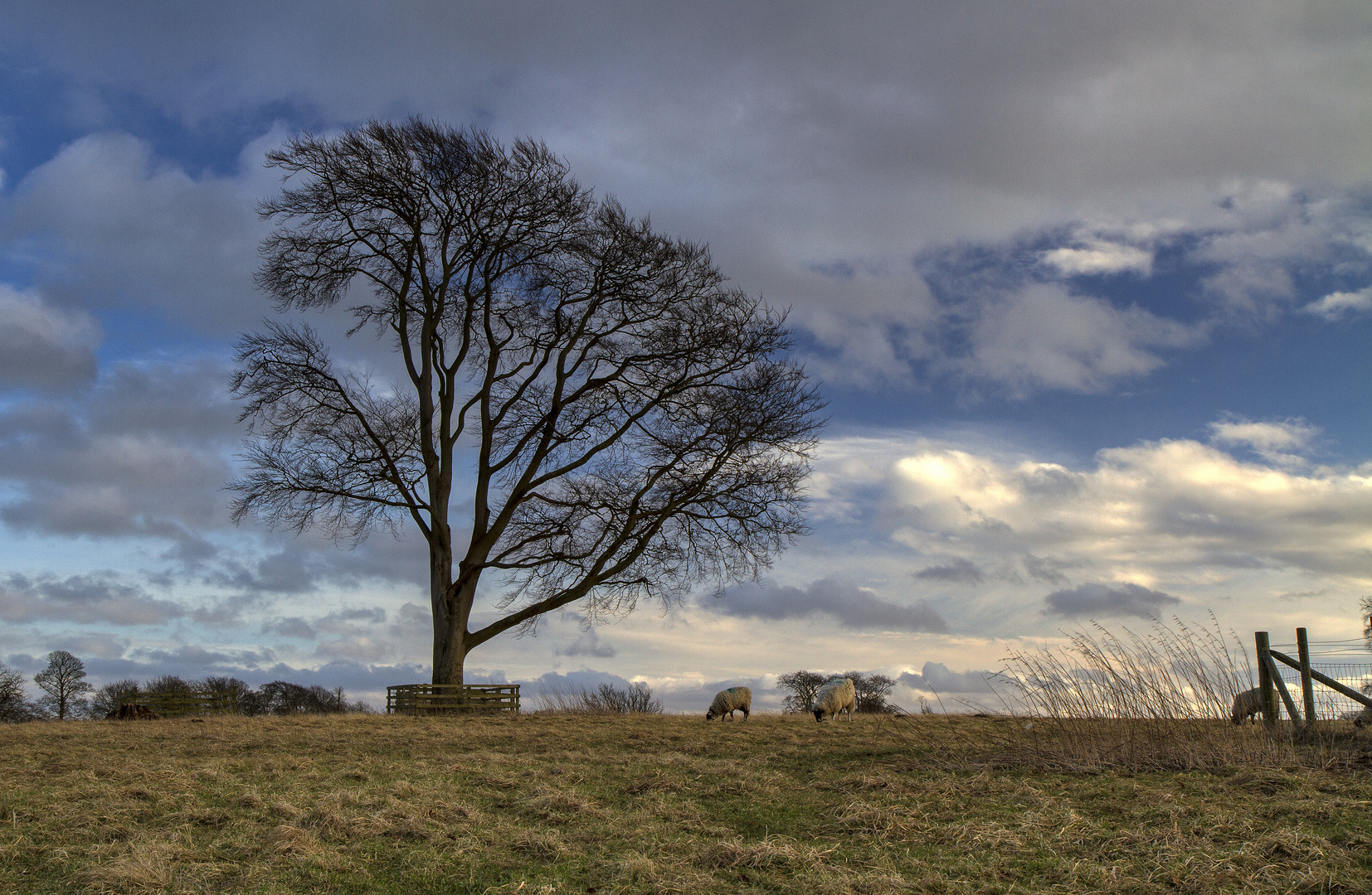 Hardwick Hall park