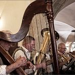 Harfe im Hofbräuhaus
