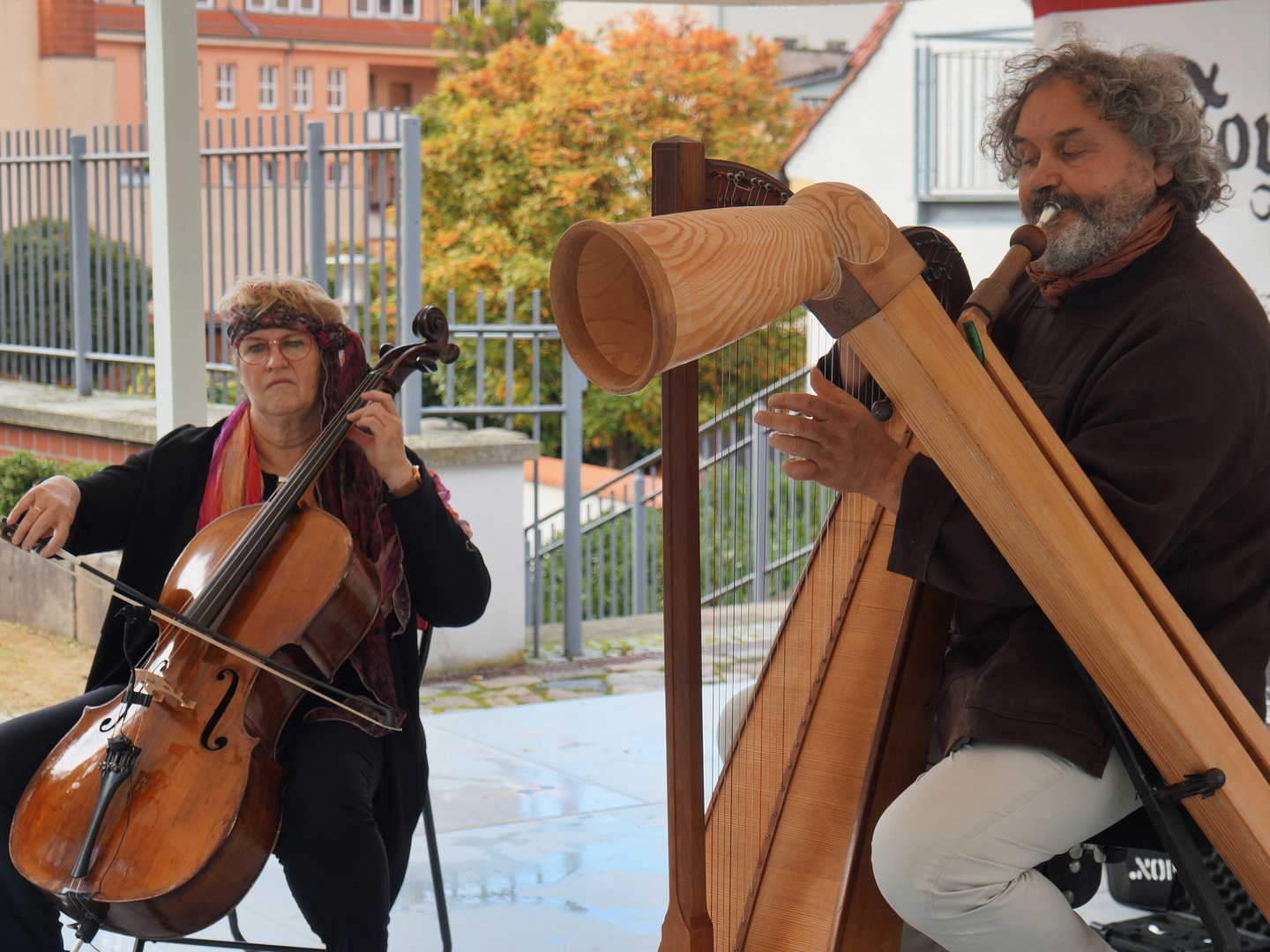 Harfe mit Alphorn und Cello