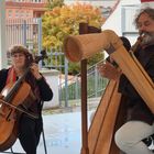 Harfe mit Alphorn und Cello