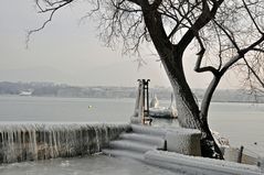 Harfenspiel am See