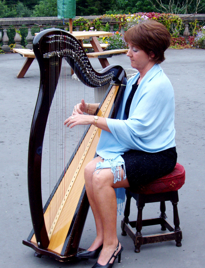 Harfinistin im Raum Tipperary