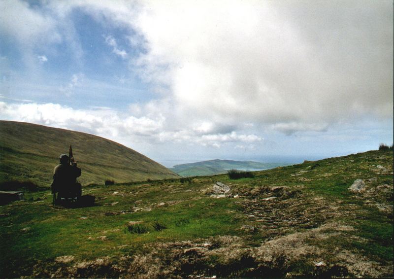 Harfner in Irland