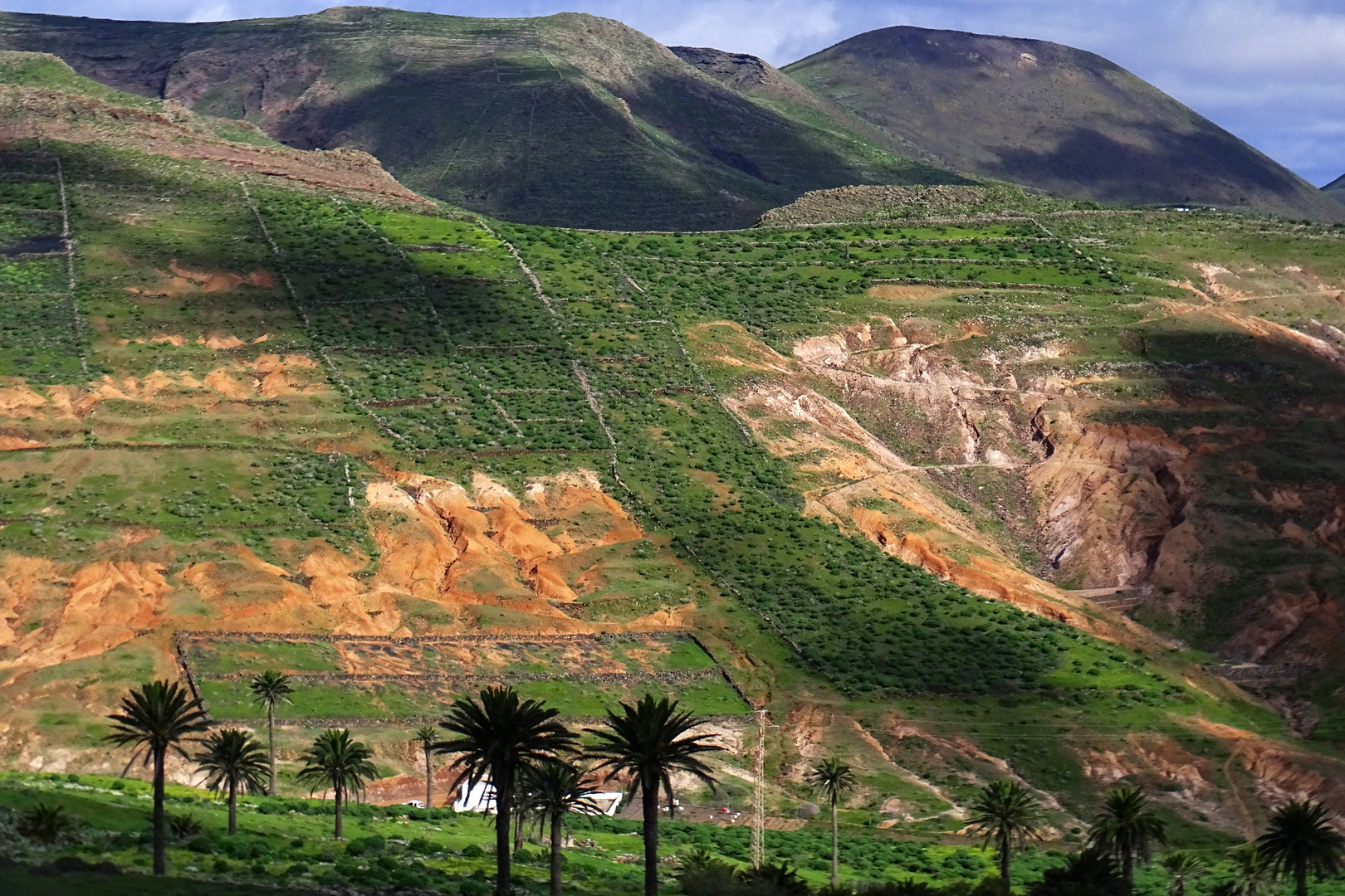 Haria auf Lanzarote