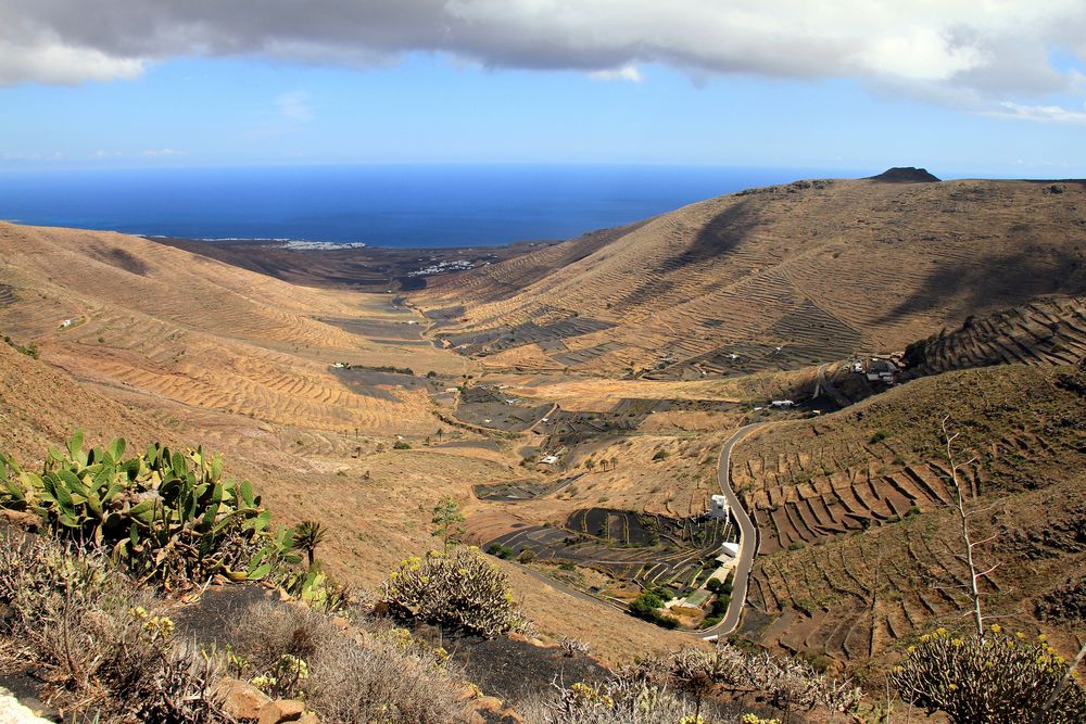 Haria - Lanzarote