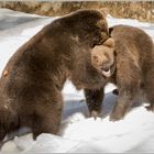 HARIBO im Schnee (1)