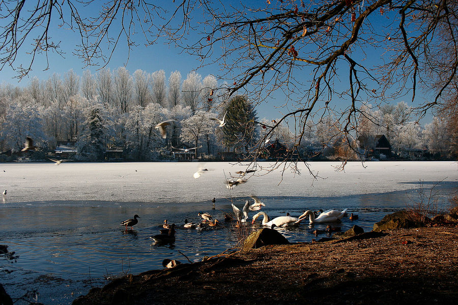 Hariksee-Idylle im Winter