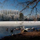 Hariksee-Idylle im Winter