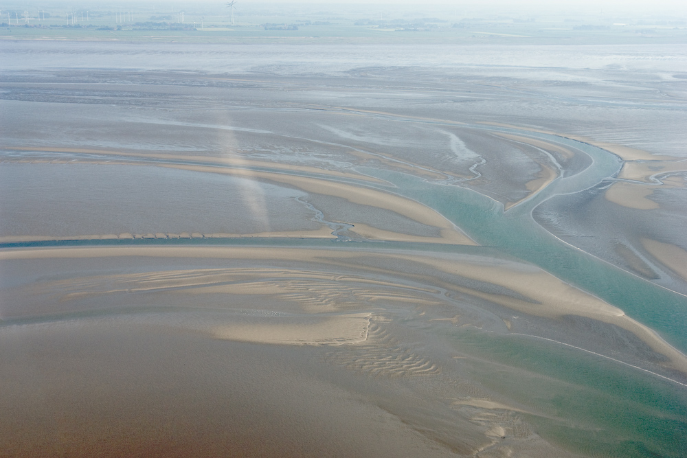 Harle, Nationalpark Wattenmeer