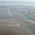 Harle, Nationalpark Wattenmeer